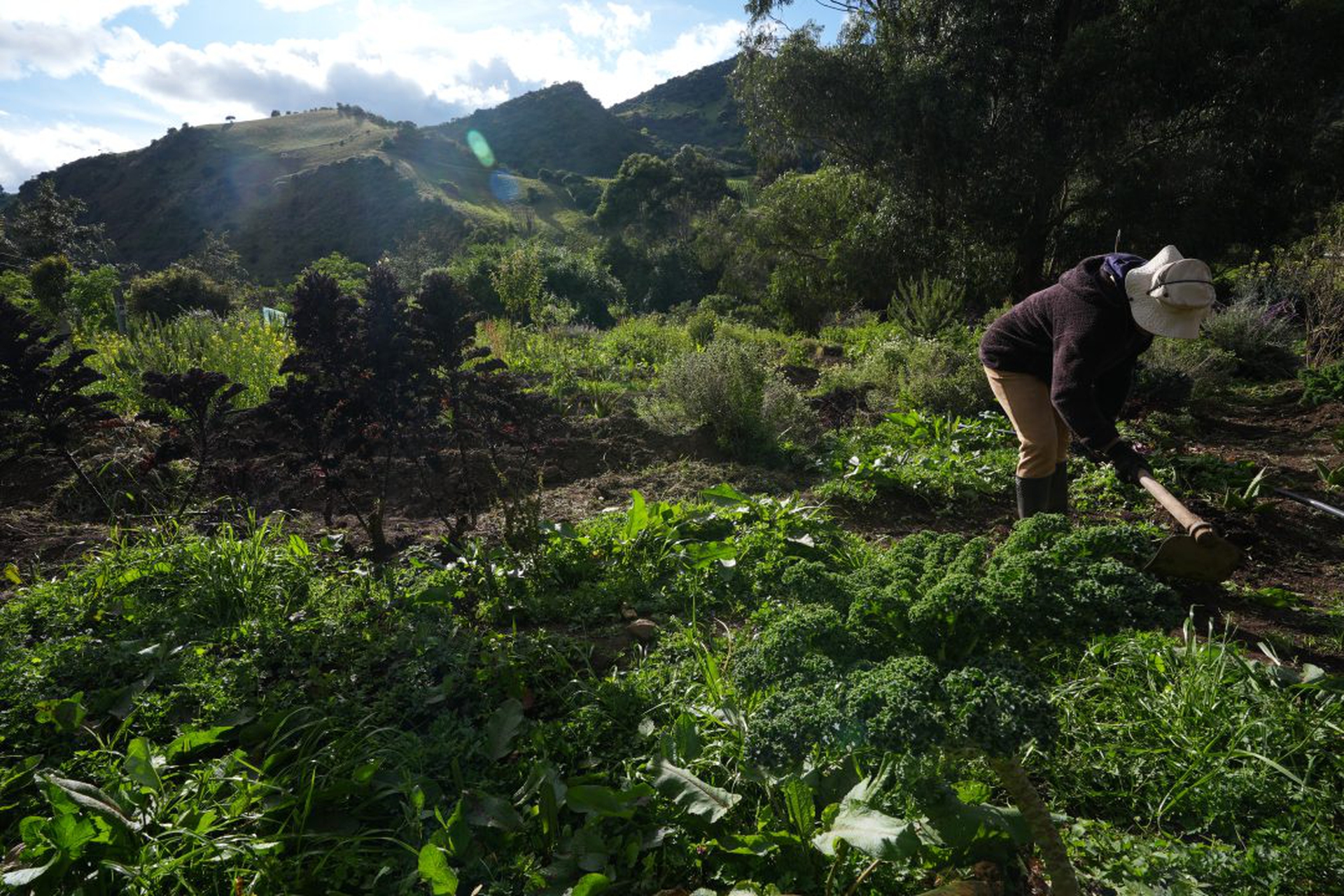 Former FARC combatants foster peace amid ongoing challenges