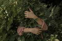 Making peace with the Earth. 500 organisations urge a sustainable new start