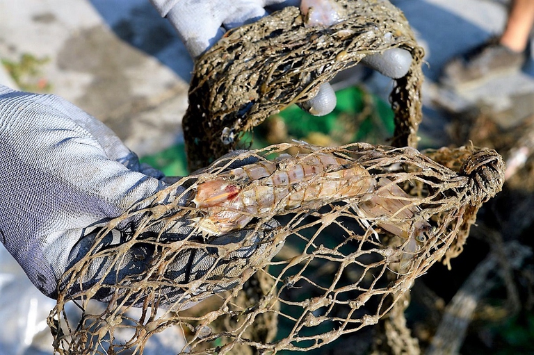 Rete di plastica usata per insaccare le cozze