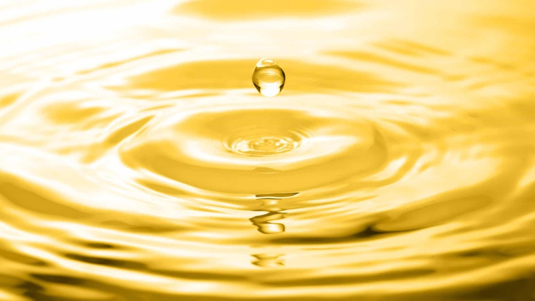 CambiaMenti, olio, foamflex