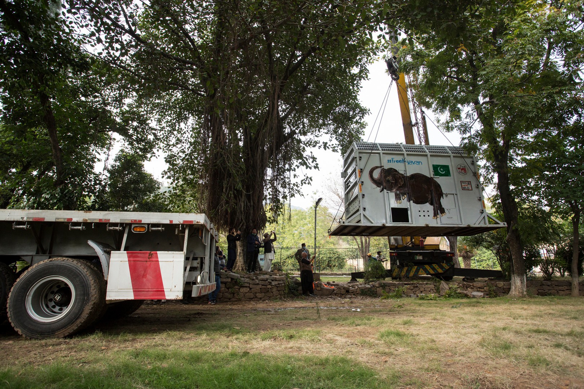 Il trasporto di kaavan
