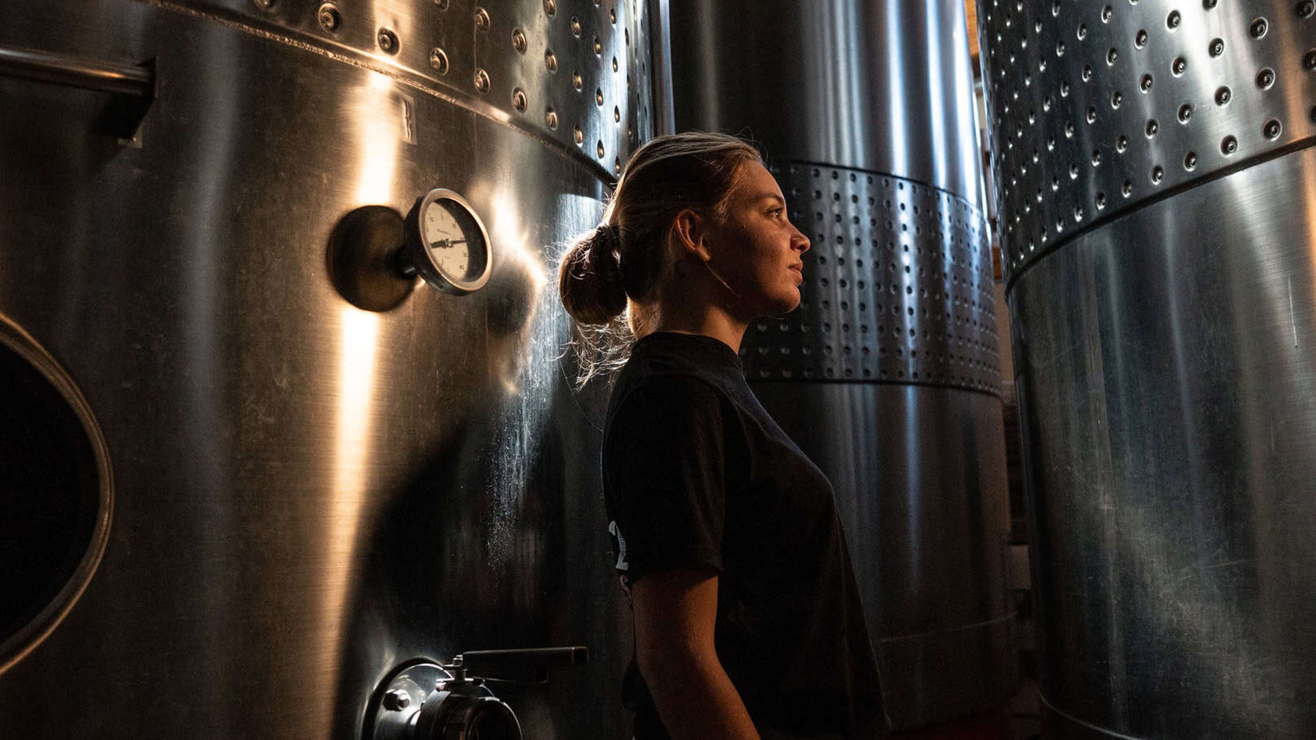 Vino y cambio climatico en Argentina