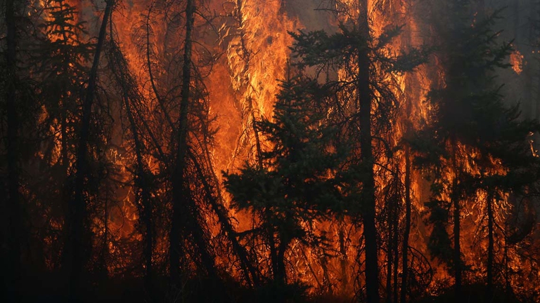 L'ombra del cambiamento climatico sugli incendi in Canada © Cole Burston/AFP/Getty Images