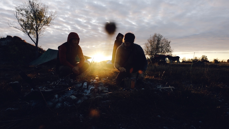 Green Storytellers e il trekking con gli asini nella steppa friulana