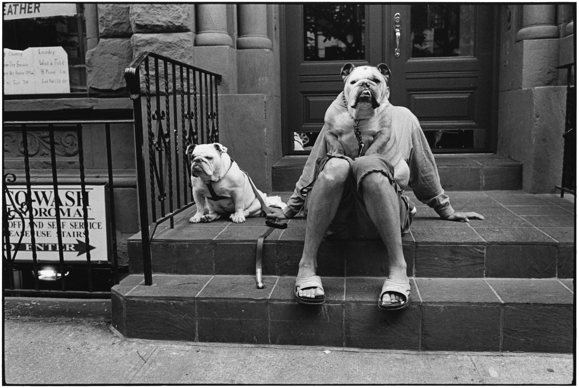 Erwitt Family