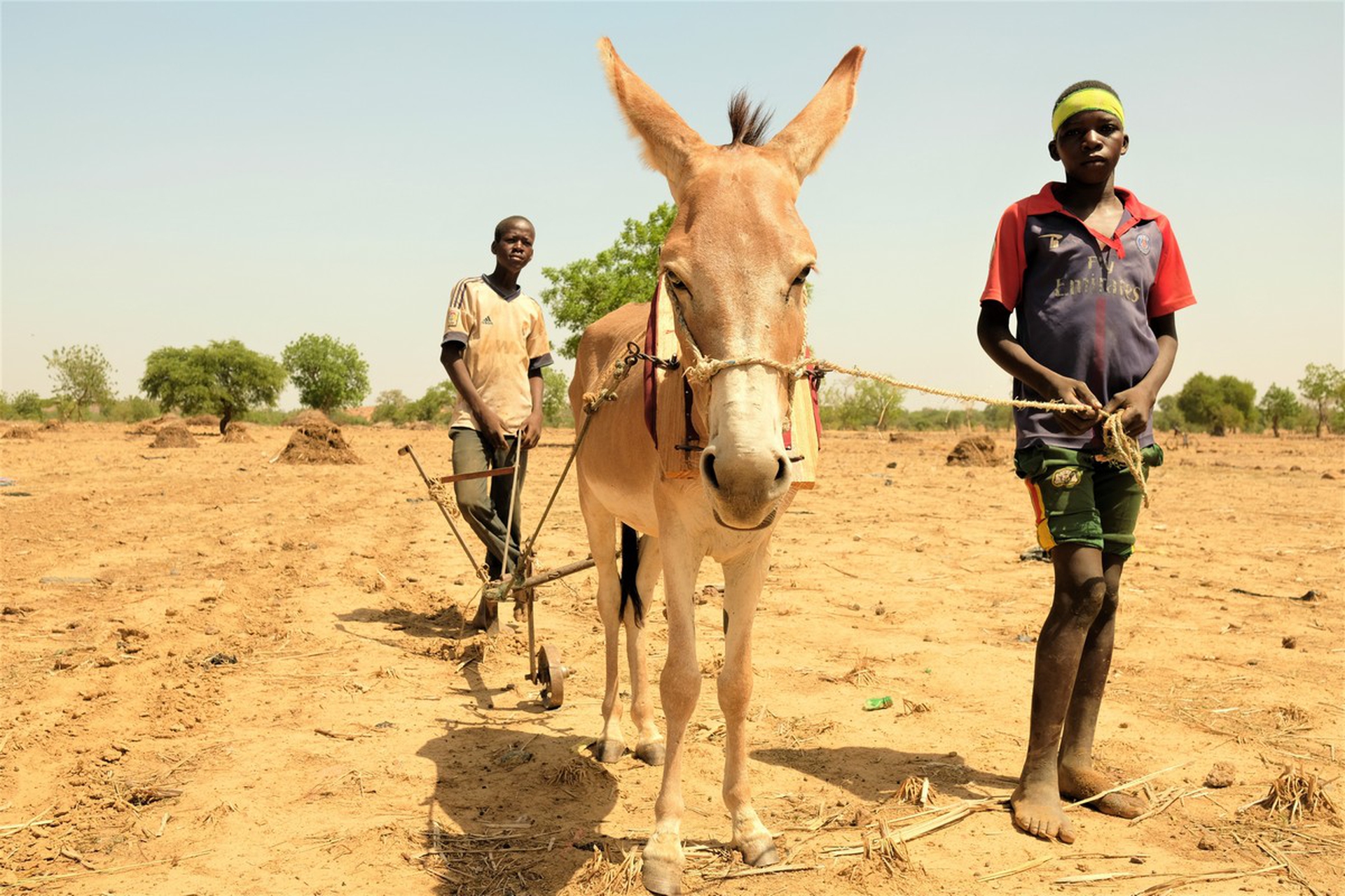Fighting for the land in Burkina Faso