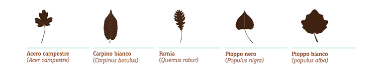 Impegno e responsabilità sociale per Agras Pet Foods