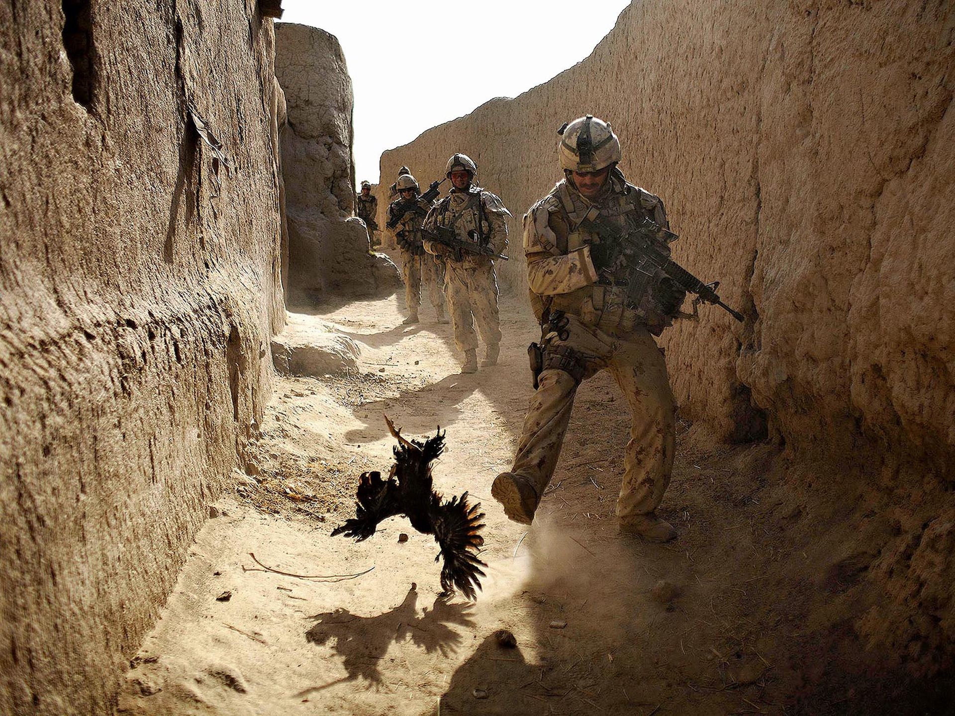 2010, Anja Niedringhaus: Soldati in Afghanistan e un pollo