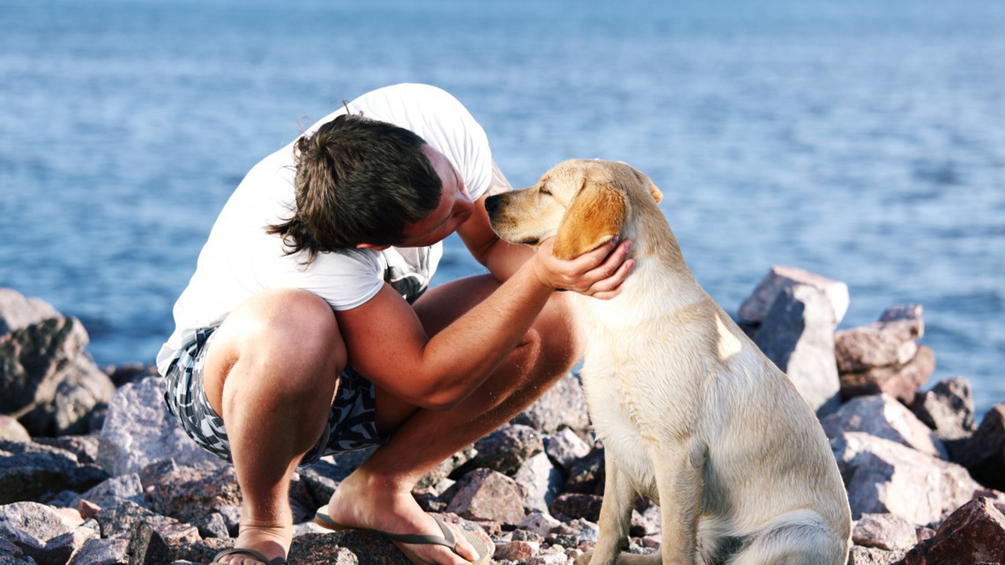 Cosa capiscono i cani su noi esseri umani?