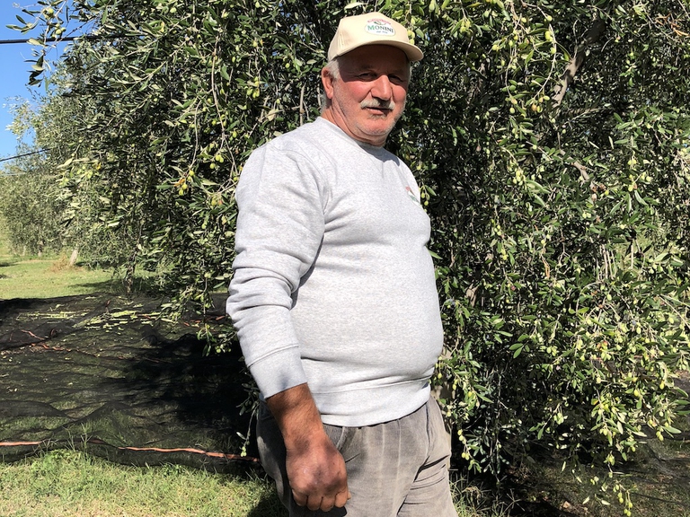 giovanni trombetta olivicoltore