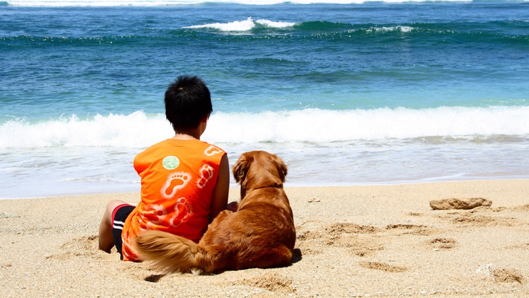 bambino col cane in vacanza