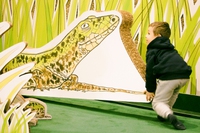 Natura, la mostra-gioco per scoprire la natura con occhi nuovi al Muba, il museo dei bambini di Milano