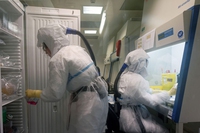 Coronavirus: primo contagio a Codogno, in Lombardia. L’uomo non è stato in Cina