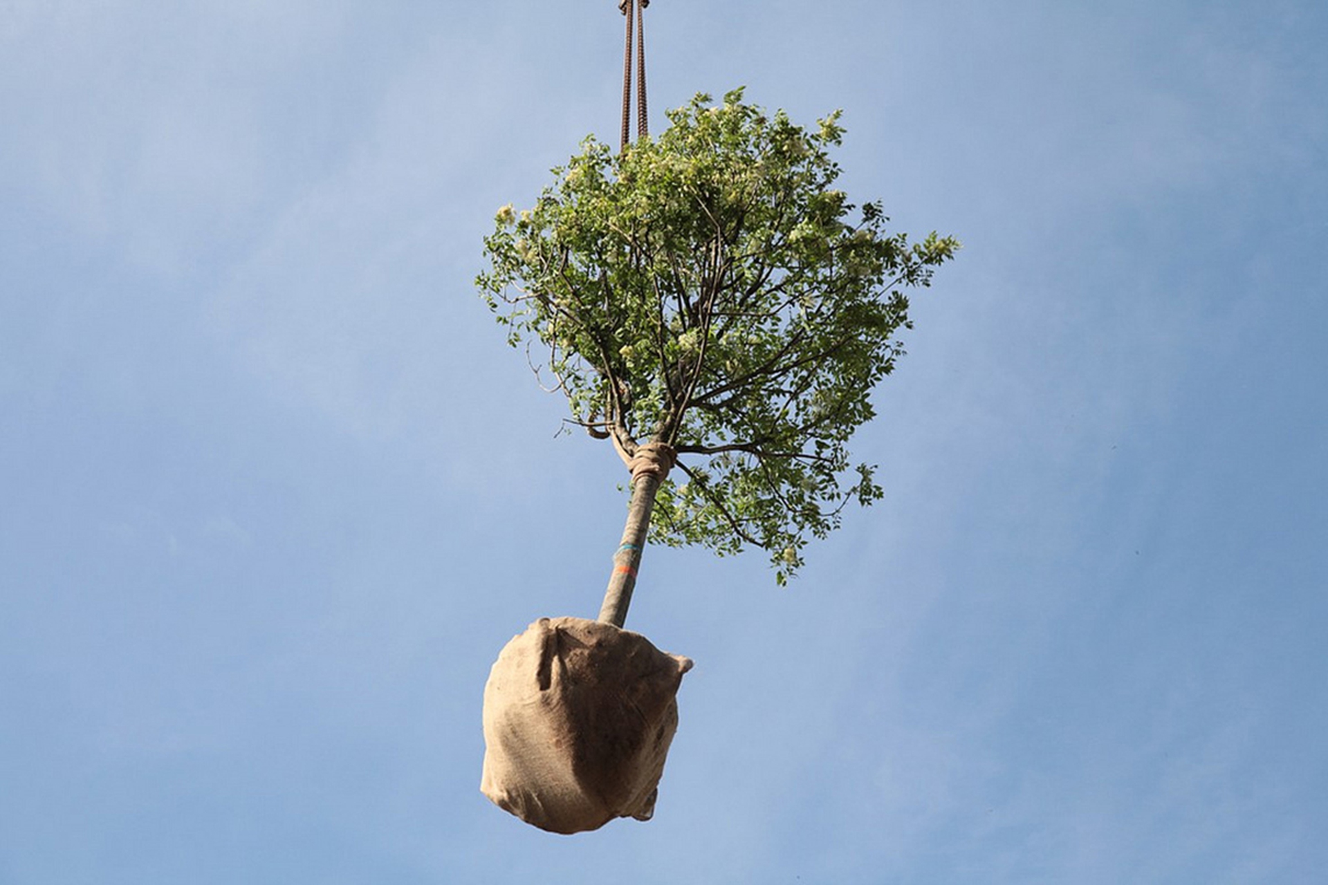 Durante la costruzione del Bosco Verticale