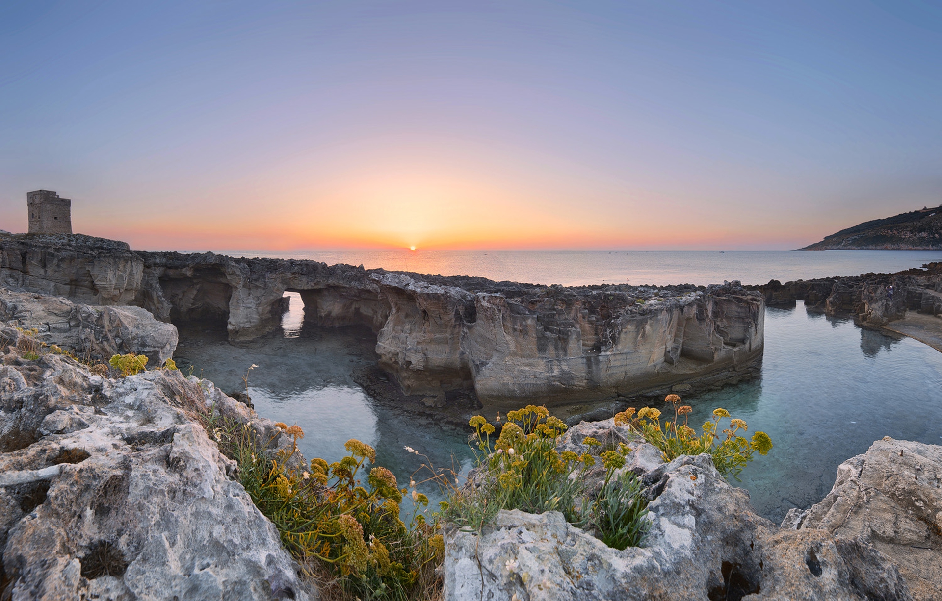 BIASCO_MAURIZIO_Parco Naturale Regionale Costa Otranto - SMaria Leuca - Bosco Tricase_ridotta