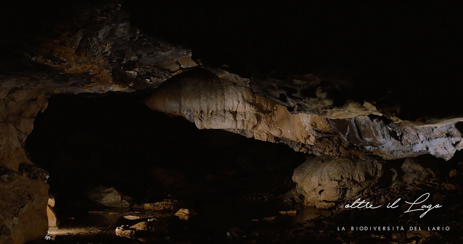 Oltre il lago – La biodiversità del Lario