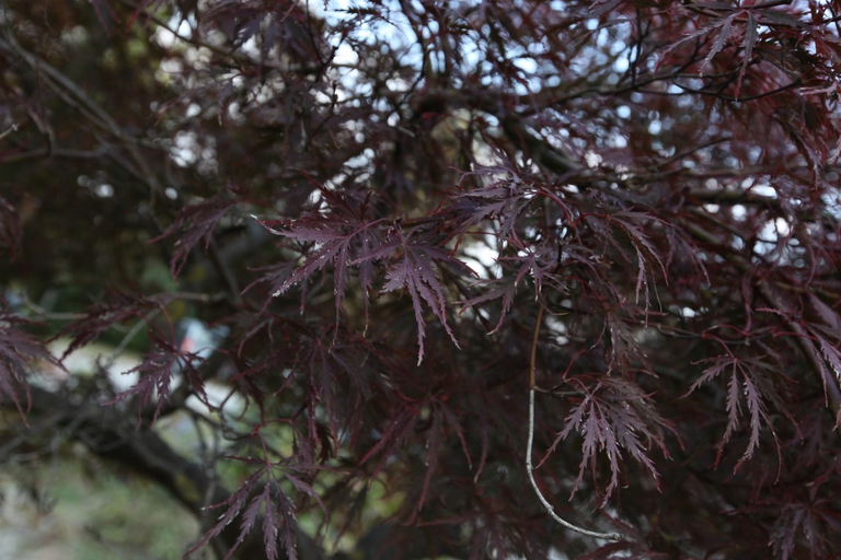 giornata bellezza sostenibile parco ticino