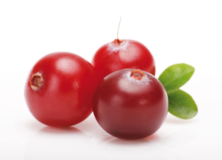 Cranberry-cistite-2