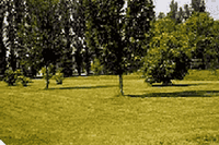Insieme per l’ambiente