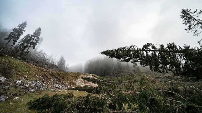 cop 26, asiago, cambiamenti climatici, italia