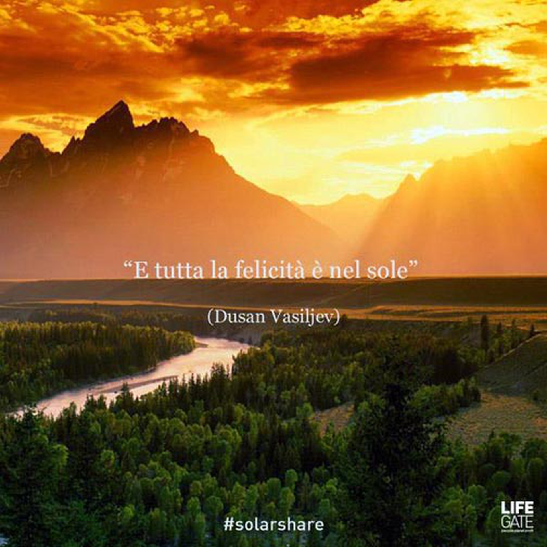 Le citazioni più belle per sempre - Dusan Vasiljev