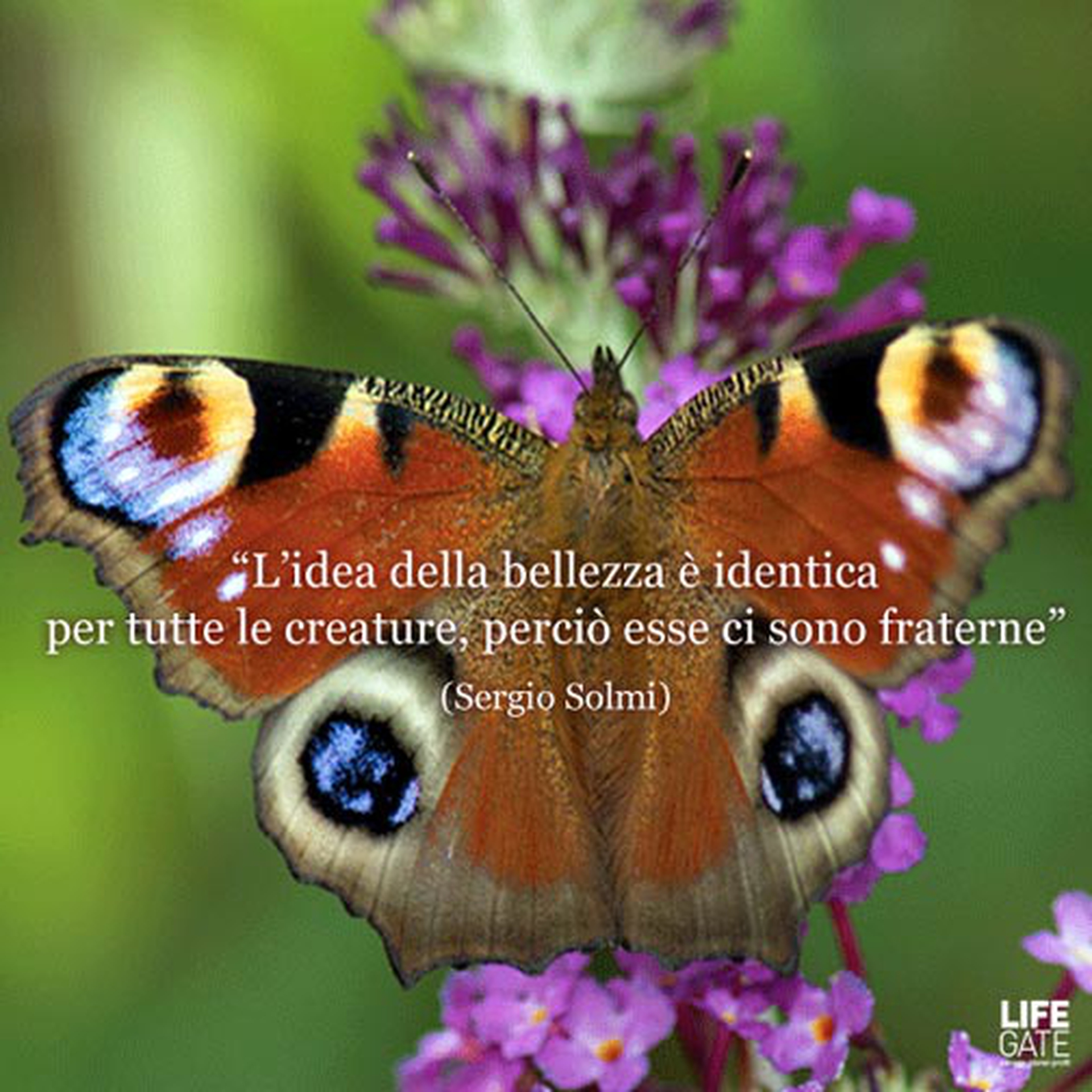 Le citazioni più belle per sempre - Sergio Solmi