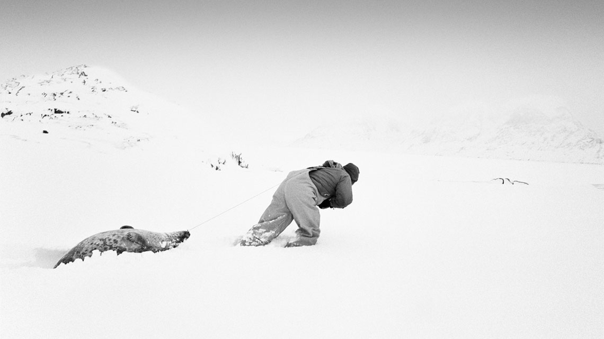 Pictures of the exhibition Artico, ultima frontiera