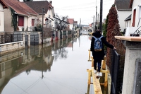 Il ruolo delle donne e la questione di genere nella lotta contro la crisi climatica