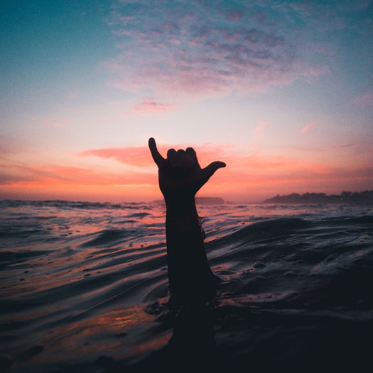 sostenibilità, ons19