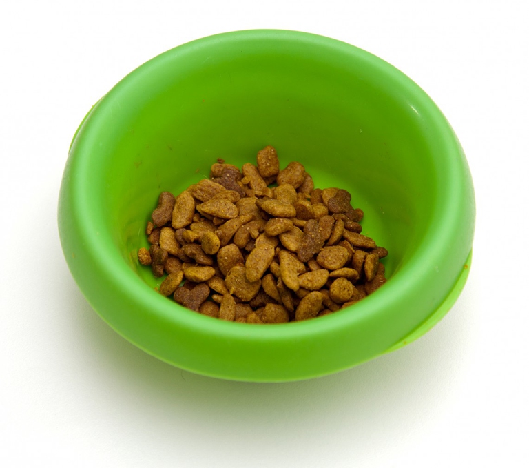 In commercio esistono alimenti contro le allergie alimentari per cani e gatti, ma il rimedio più idoneo è sempre la dieta casalinga