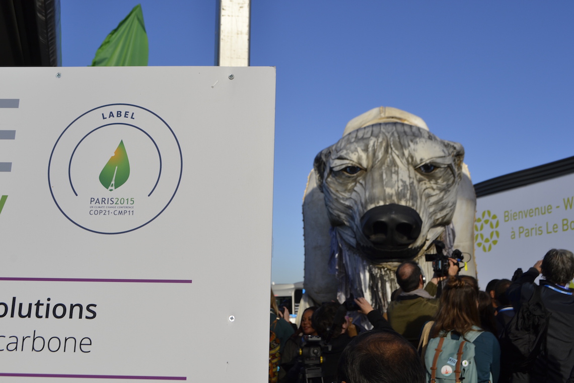 Greenpeace's polar bear