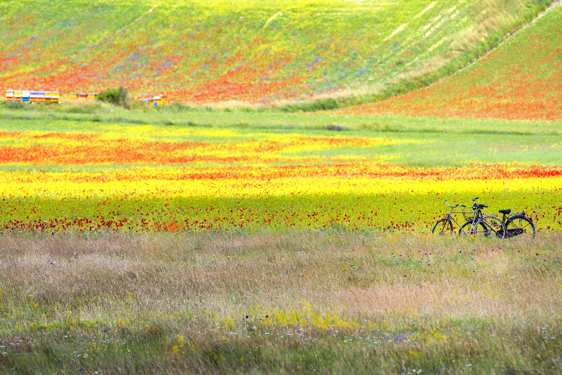 Parco Nazionale dei Monti Sibillini, di Simonetta Capecci