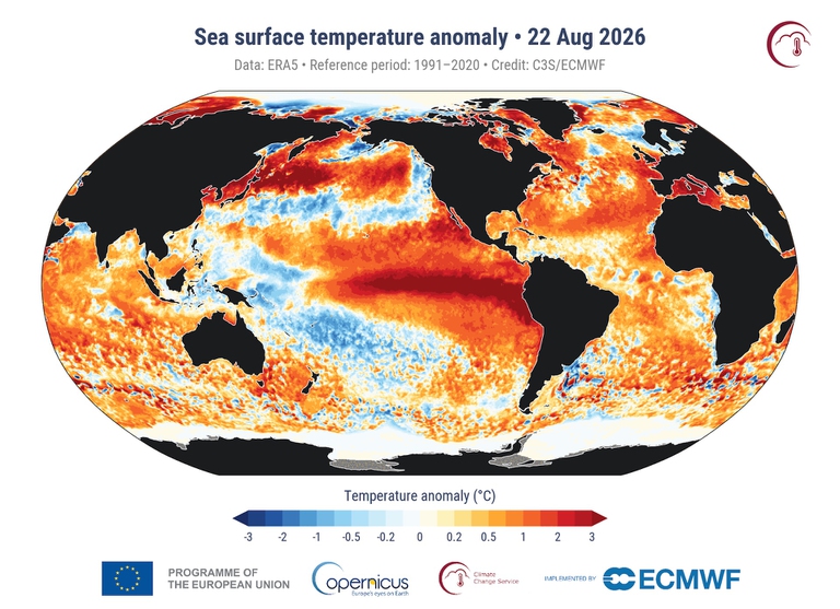 Le temperature degli oceani registrate il 22 agosto 2026
