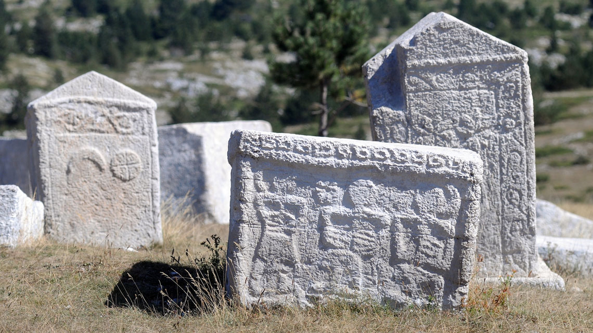 Cimiteri-medievali-in-Bosnia
