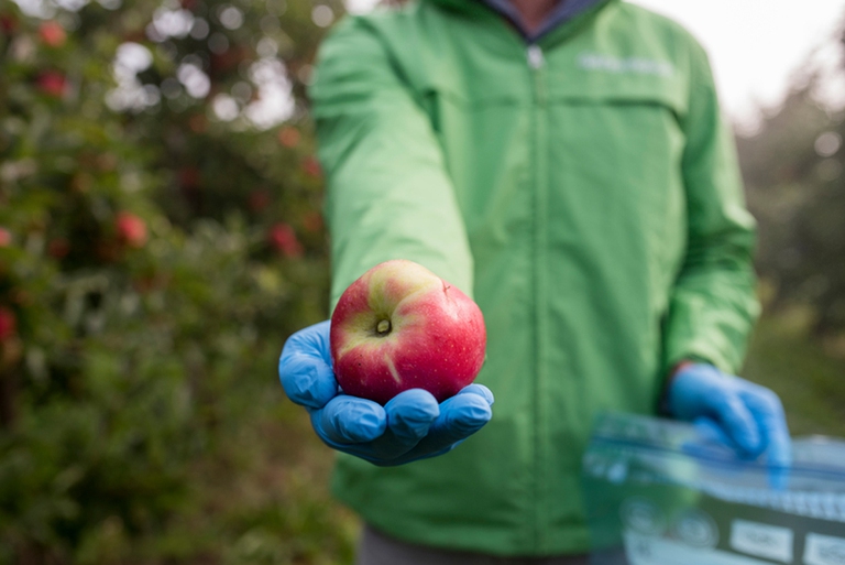 mele pesticidi greenpeace