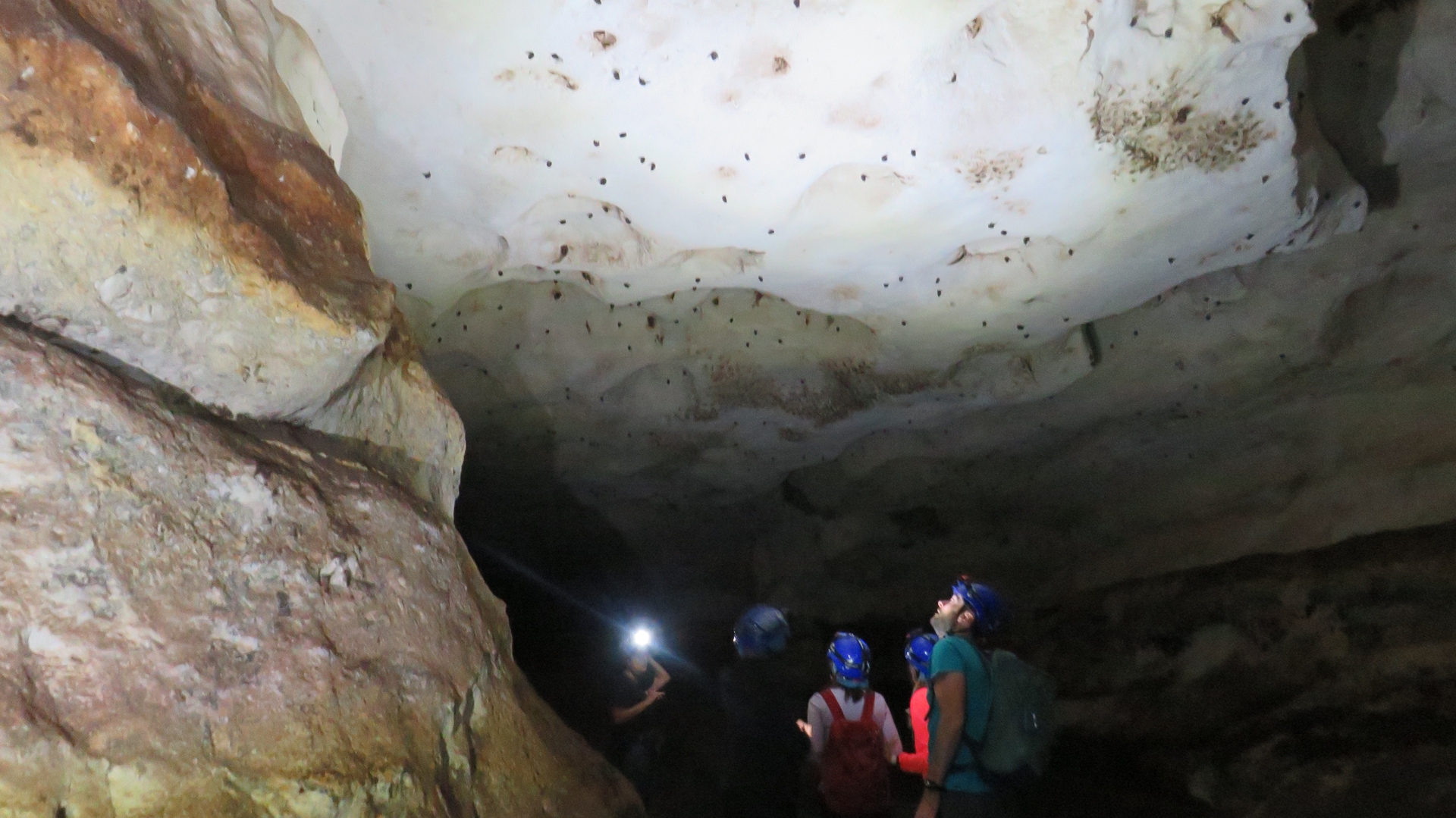 Tra i pipistrelli, nella grotta Ulari © Paola Piacentini