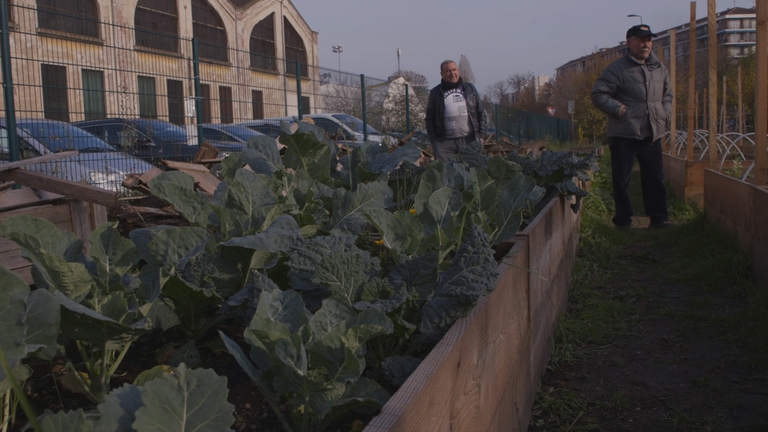 Spectrum apr, Beatrice Surano