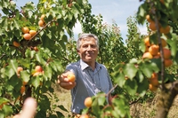 La frutta è il trionfo di questa stagione. Con Campi da sapere scopriamo perché deve essere bio