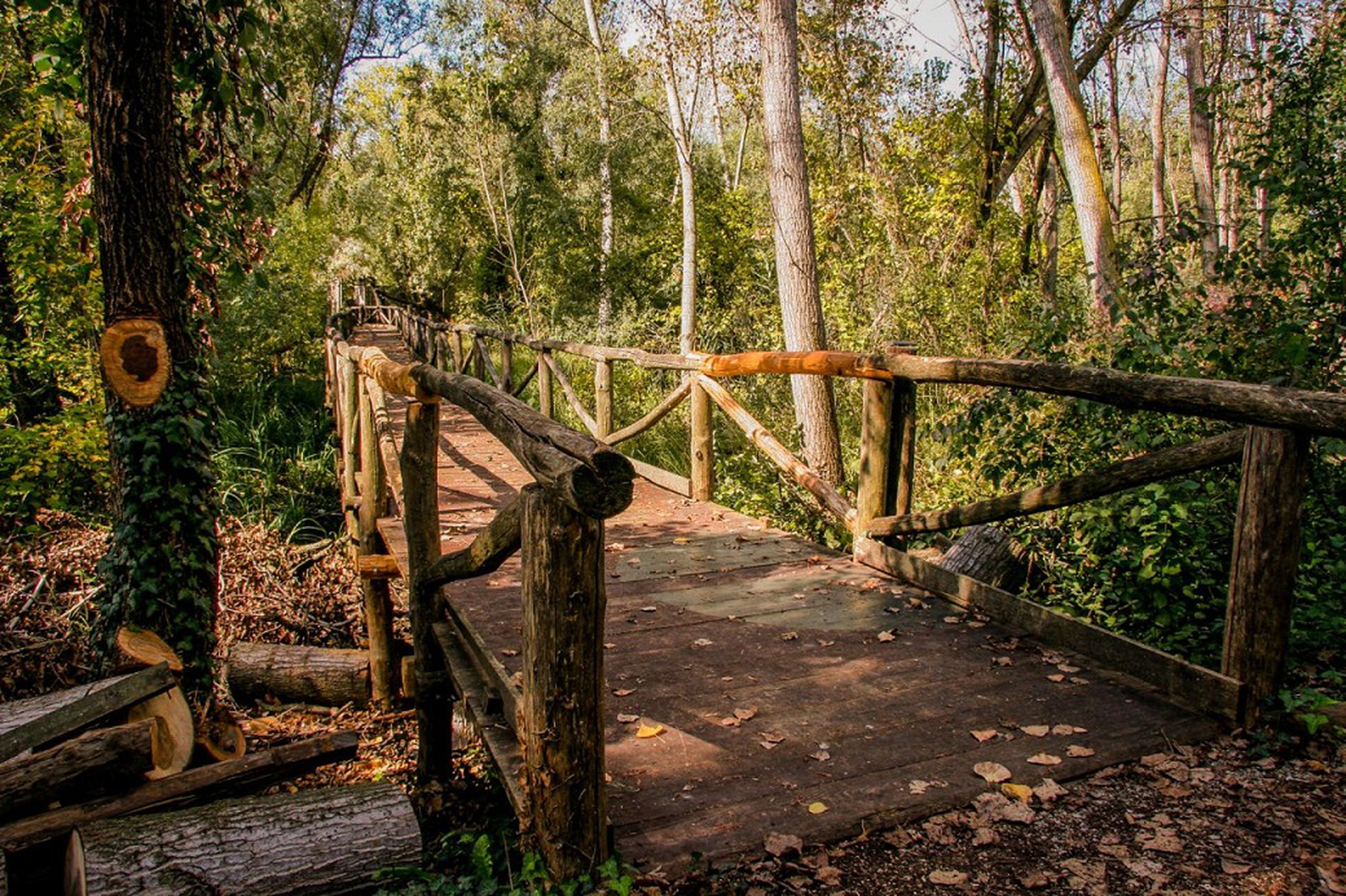 Dopo il virus il turismo di prossimità e il cicloturismo protagonisti dell'esate 2020