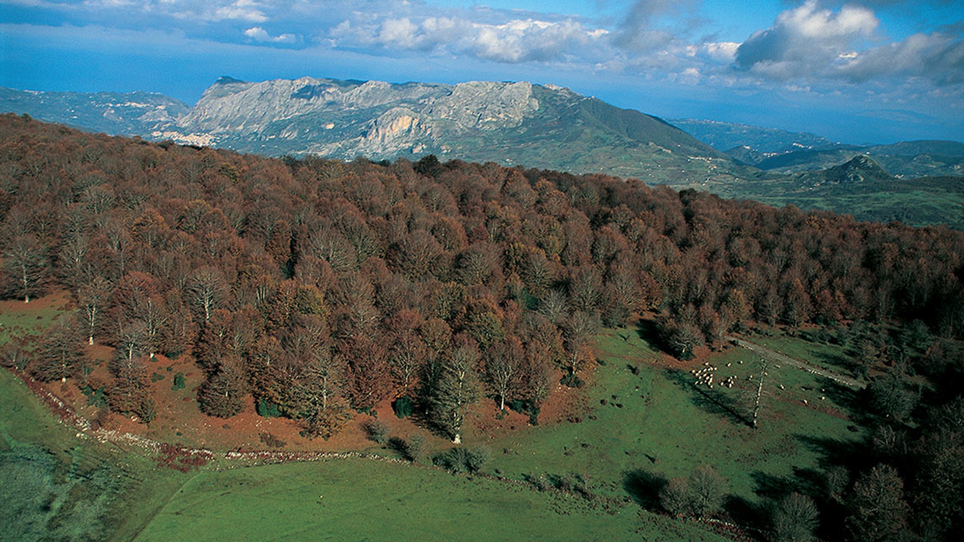 Portella-Scafi-Longi-PH-F.-BARBAGALLO