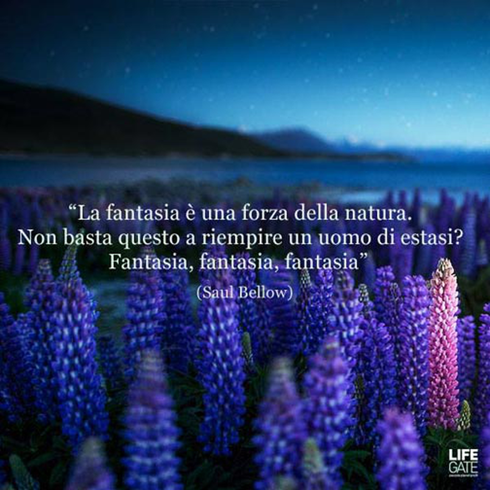 Le citazioni più belle per sempre - Saul Bellow