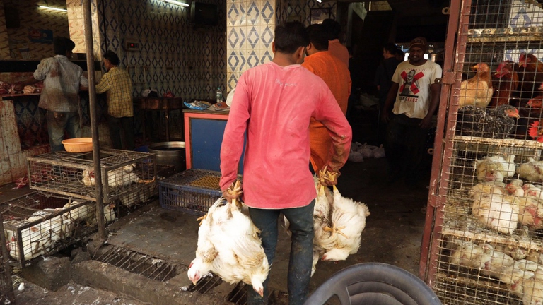 Wet market Animal equality1
