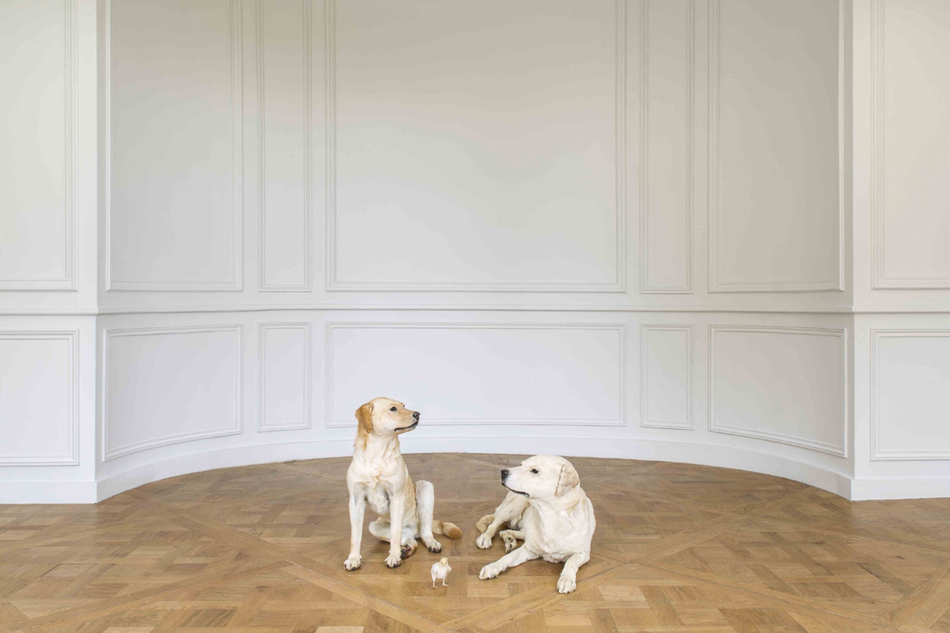 Cattelan alla Monnaie