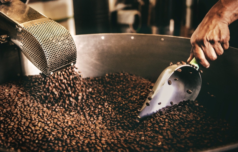 Caffè tostato, foodservice