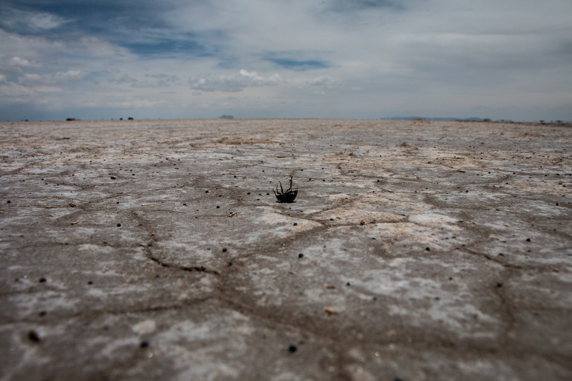 Cambiamenti climatici in Perù, domenica a Presadiretta su Raitre