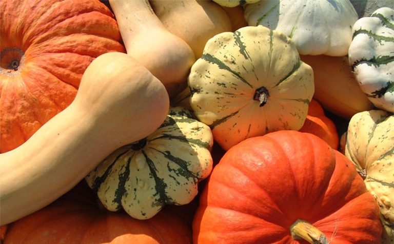 ingredienti zuppa di zucca