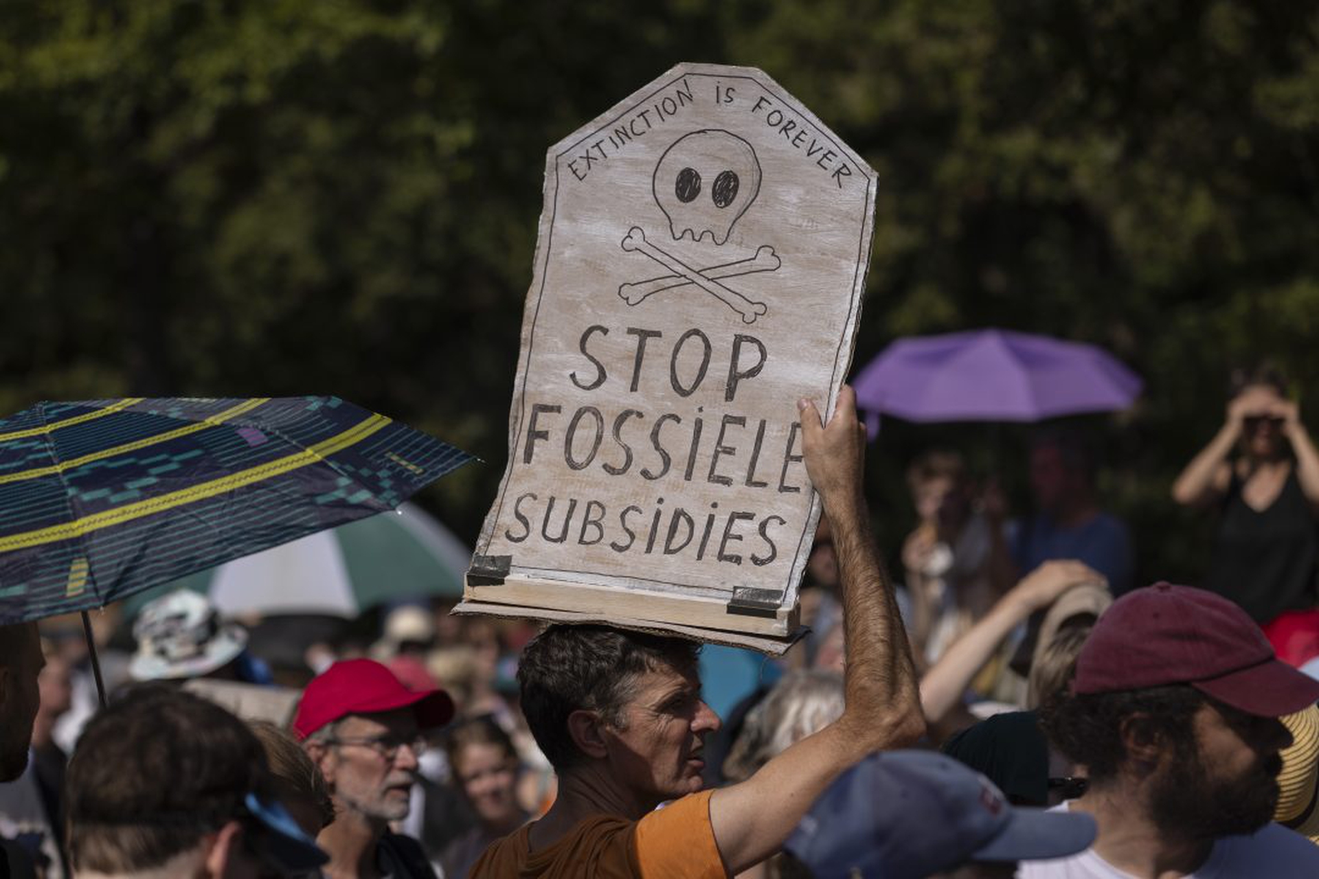 Extinction Rebellion Block The A12 Motorway In The Hague