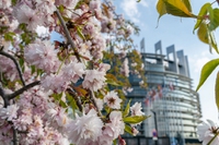 Elezioni europee 2019. Chi vota, per chi si vota, come si vota il 26 maggio