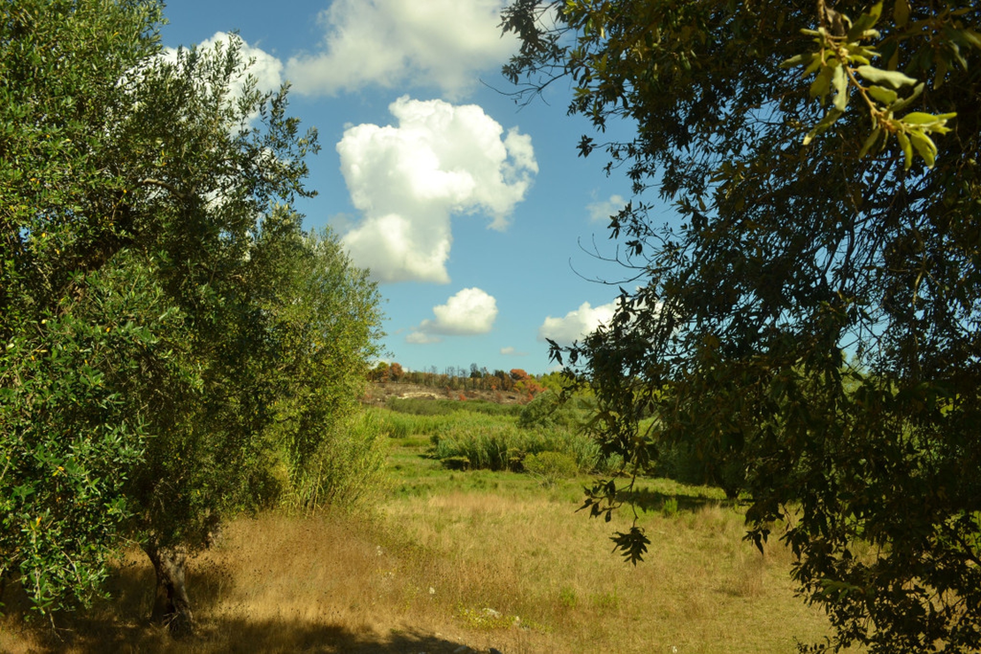 Protesters marching during the New York City strike
