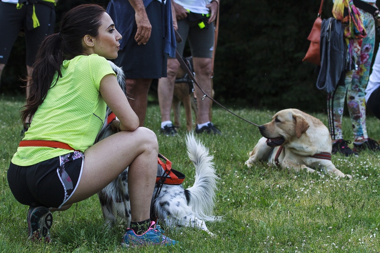 Ragazza con il suo cane